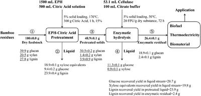 Study on the effect of phenoxyethanol–citric acid pretreatment for the enzymatic hydrolysis of bamboo residues